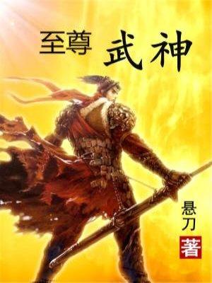 至尊武神风里鱼著