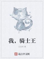 我的骑士王字旁