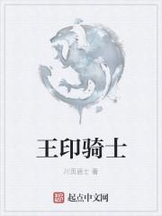 神印王座骑士的十大规则是什么