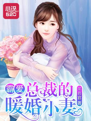 霸道总裁暖婚新妻