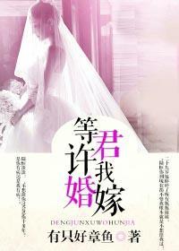 等君许我婚嫁无删减版在线观看