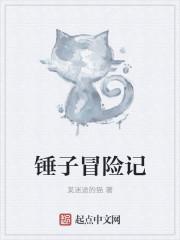 锤子叫什么游戏