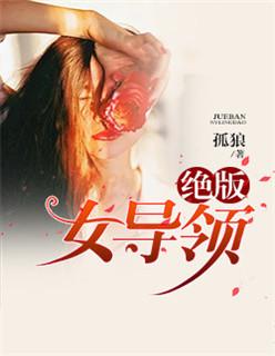 绝版女领导无删减版在线