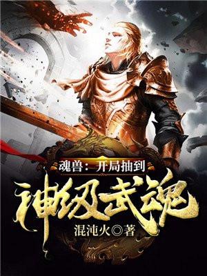 斗罗大陆之无限抽奖武魂系统