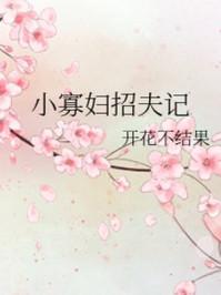 小寡妇招夫记txy