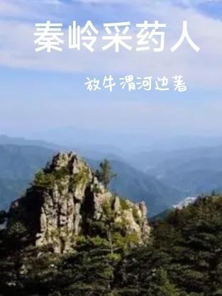 秦岭采药人 放牛渭河边