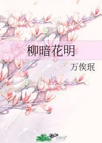 柳暗花明春事深小阑红芍药