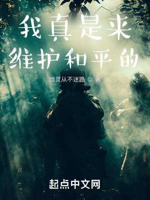 我真是来维护和平的无错