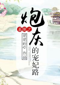 系统之炮灰的宠妃路完整版