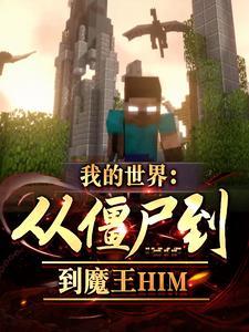 我的世界从游戏bug到him魔王