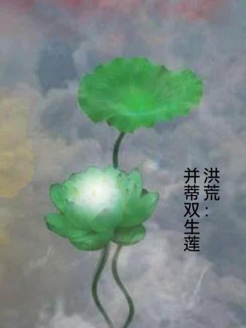 洪荒之双生并蒂莲