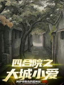 四合院之大城小爱贺来