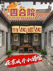 四合院抗战谍战在京城开小酒馆 作