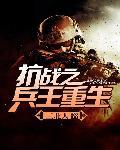 抗战之兵王之王