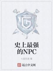 史上最强的NPC